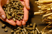 free Leake biomass boiler quotes